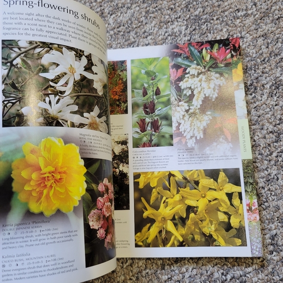 DK Smart Garden Regional Guide Gardening Book - Picture 2 of 5
